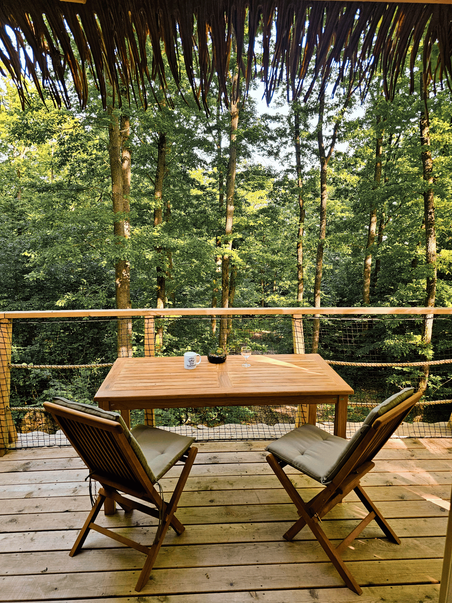 Tree House Andrásy