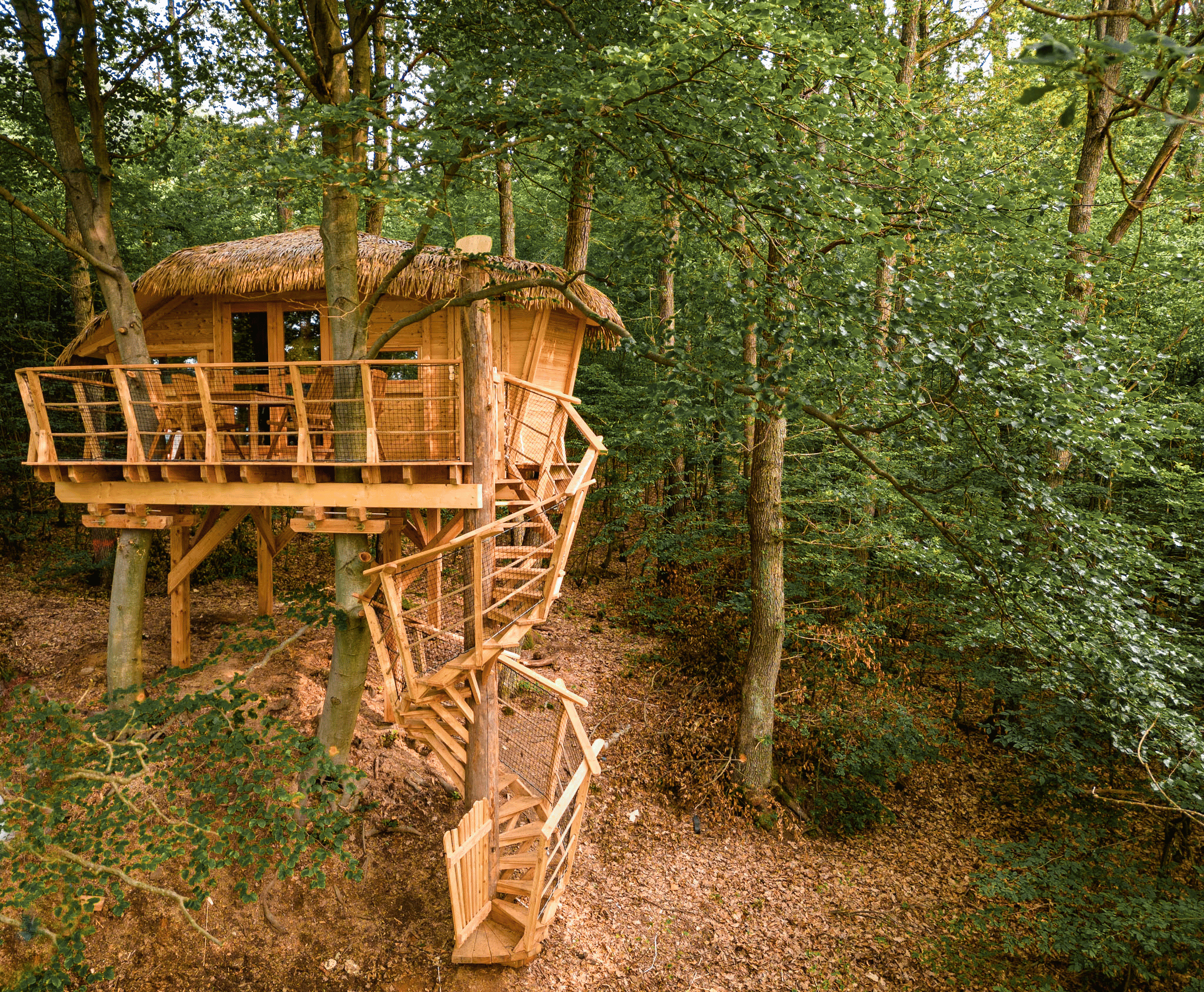 Tree House Bebek